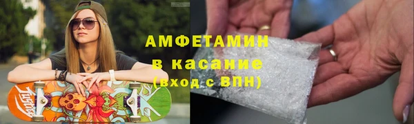 спиды Ельня
