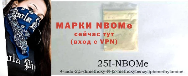 спиды Ельня
