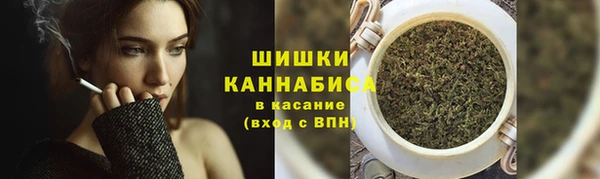 спиды Ельня