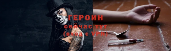 спиды Ельня