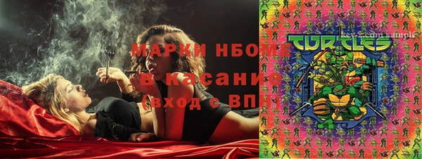 спиды Ельня