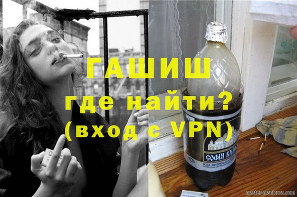 спиды Ельня