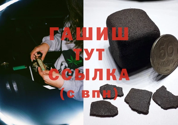 спиды Ельня