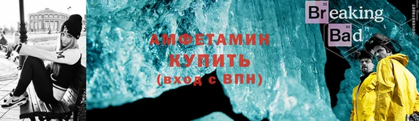 спиды Ельня
