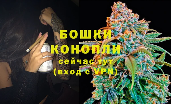спиды Ельня