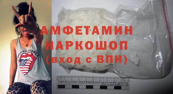 спиды Ельня
