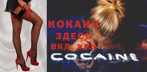 спиды Ельня