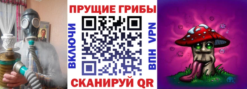 Псилоцибиновые грибы Magic Shrooms  Закаменск 